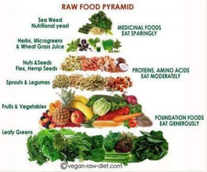 Raw food pyramid