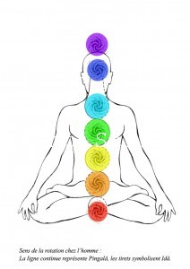 Scalar energy chakra balancing serves to correct and reverse many autoimmune conditions.