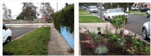 Ron Finley curb garden in South Los Angeles.