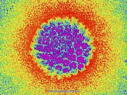 Herpes Simplex virus disassembled via scalar energy.